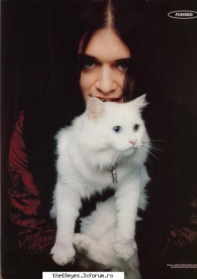 due to their penchant for and raw guitar riffs, placebo have been described by some as a glam